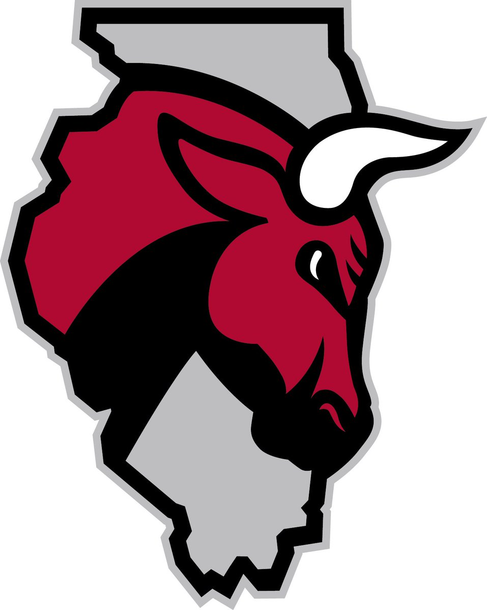 Windy City Bulls 2016-Pres Secondary Logo iron on transfers for T-shirts